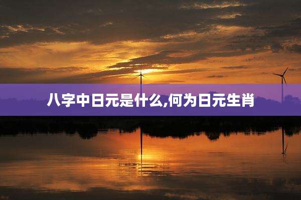 八字中日元是什么,何为日元生肖