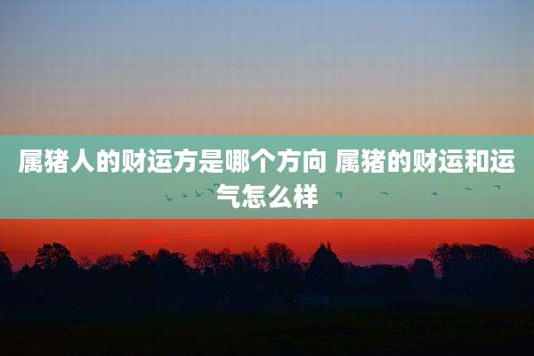 属猪人的财运方是哪个方向 属猪的财运和运气怎么样
