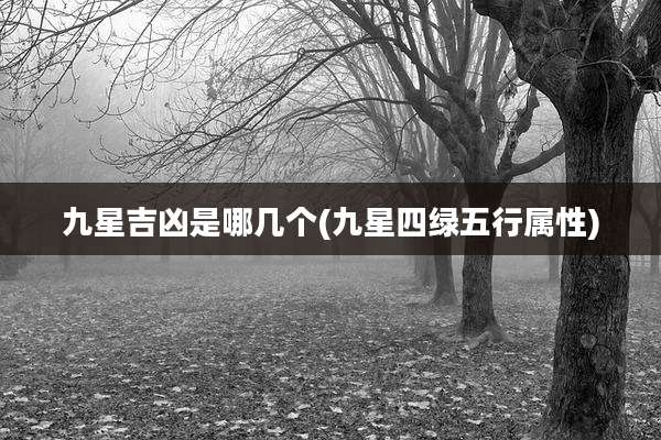九星吉凶是哪几个(九星四绿五行属性)