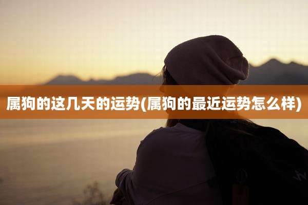 属狗的这几天的运势(属狗的最近运势怎么样)