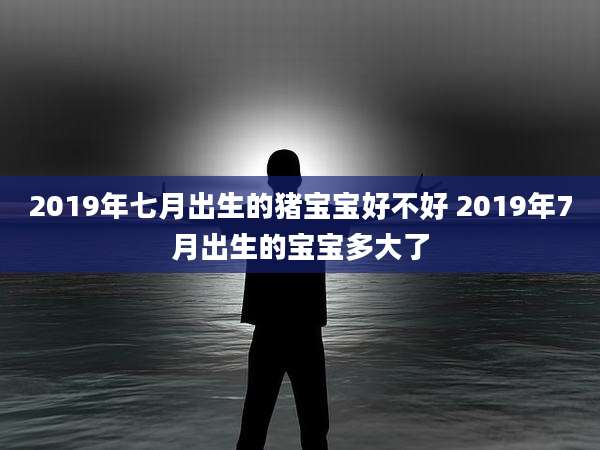 2019年七月出生的猪宝宝好不好 2019年7月出生的宝宝多大了