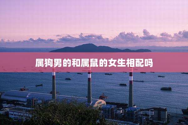 属狗男的和属鼠的女生相配吗