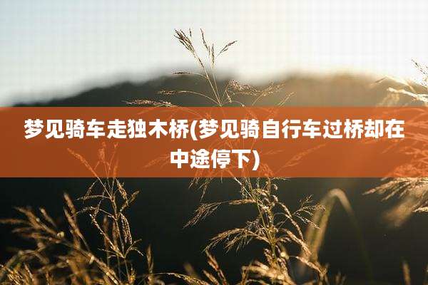 梦见骑车走独木桥(梦见骑自行车过桥却在中途停下)