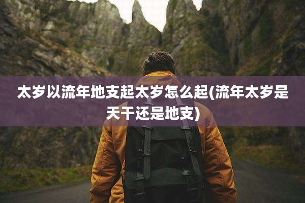 太岁以流年地支起太岁怎么起(流年太岁是天干还是地支)