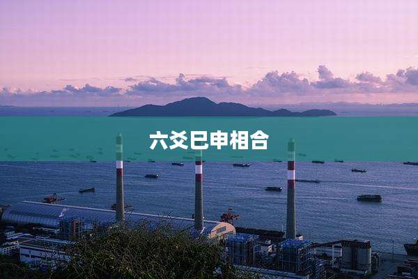 六爻巳申相合
