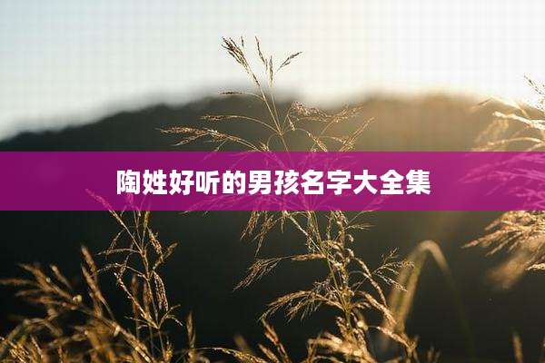陶姓好听的男孩名字大全集