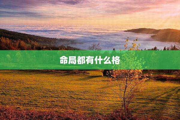 命局都有什么格