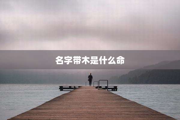 名字带木是什么命