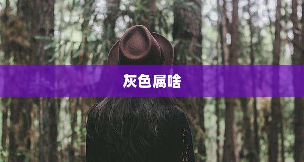 灰色属啥