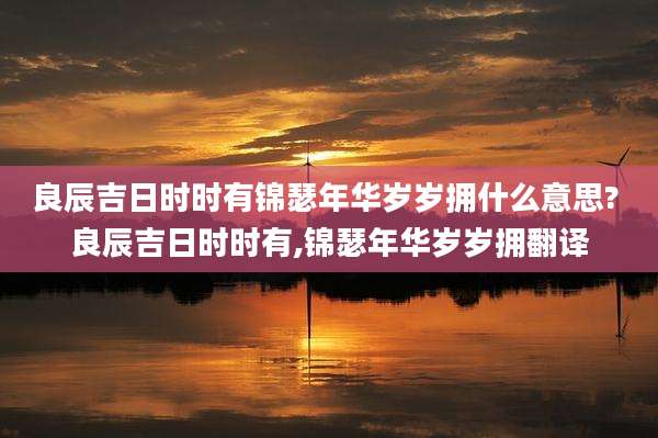 良辰吉日时时有锦瑟年华岁岁拥什么意思? 良辰吉日时时有,锦瑟年华岁岁拥翻译