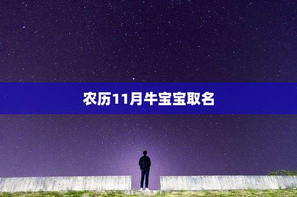 农历11月牛宝宝取名
