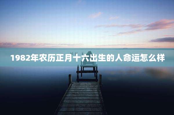 1982年农历正月十六出生的人命运怎么样