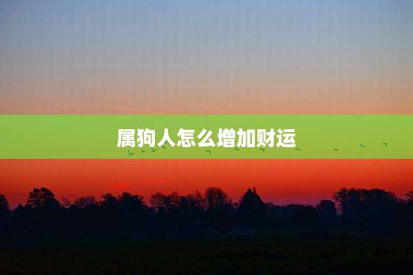 属狗人怎么增加财运
