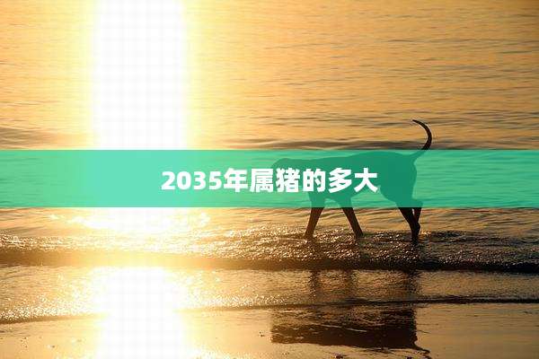 2035年属猪的多大
