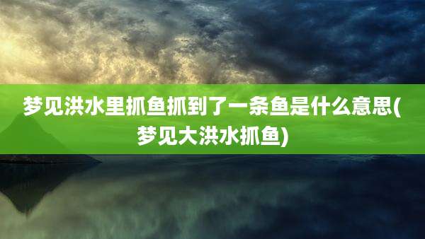 梦见洪水里抓鱼抓到了一条鱼是什么意思(梦见大洪水抓鱼)
