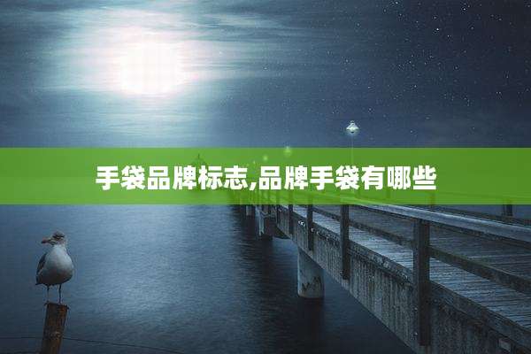 手袋品牌标志,品牌手袋有哪些