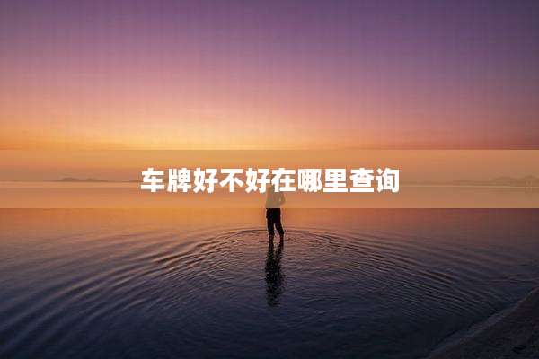 车牌好不好在哪里查询