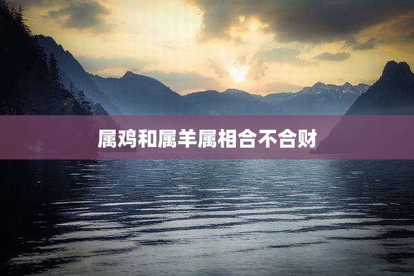 属鸡和属羊属相合不合财