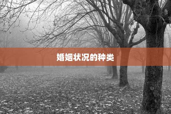 婚姻状况的种类