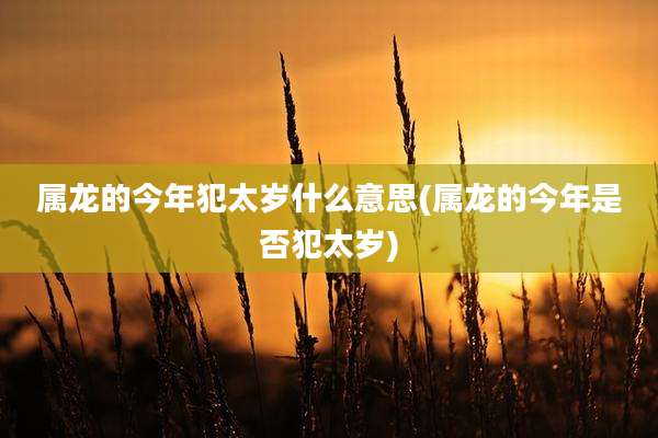属龙的今年犯太岁什么意思(属龙的今年是否犯太岁)