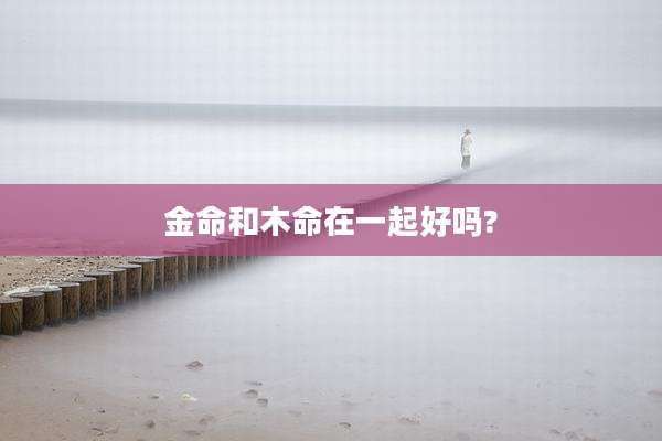 金命和木命在一起好吗?