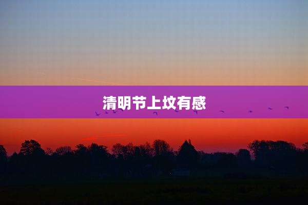 清明节上坟有感