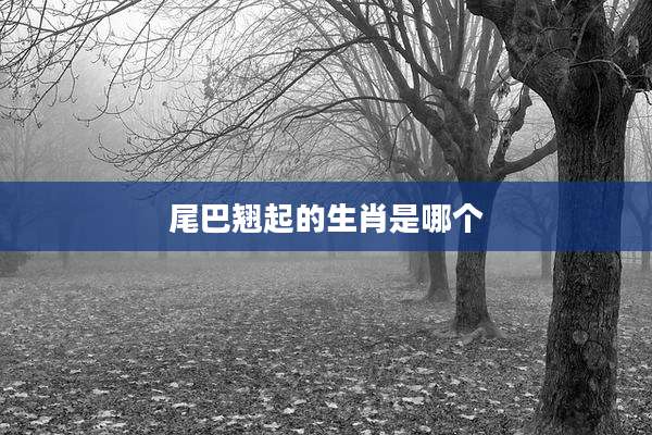 尾巴翘起的生肖是哪个
