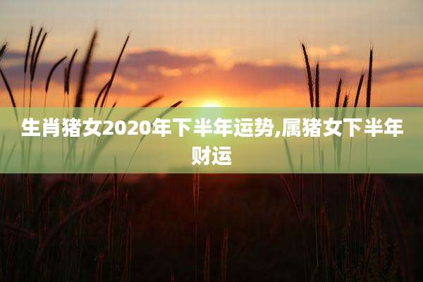 生肖猪女2020年下半年运势,属猪女下半年财运