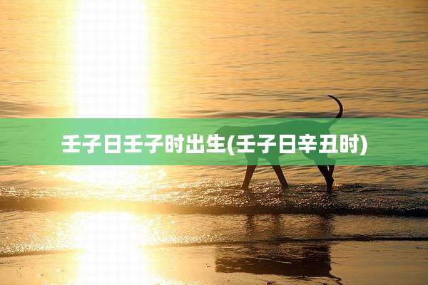 壬子日壬子时出生(壬子日辛丑时)
