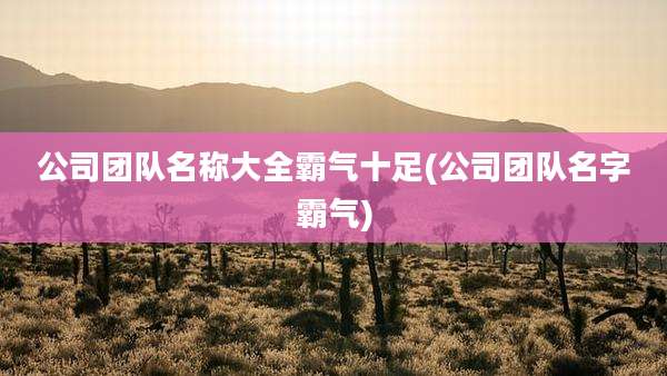 公司团队名称大全霸气十足(公司团队名字霸气)