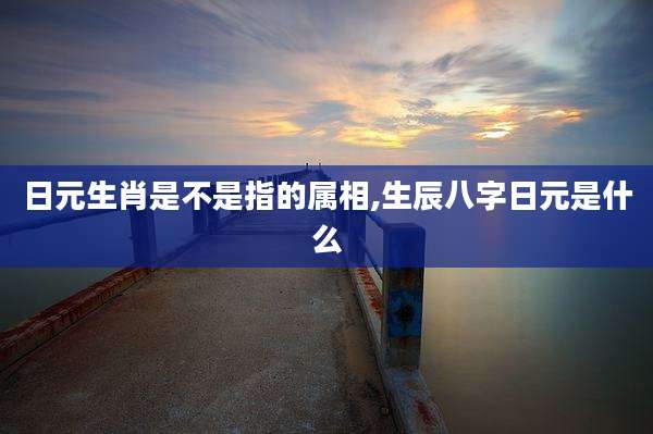 日元生肖是不是指的属相,生辰八字日元是什么