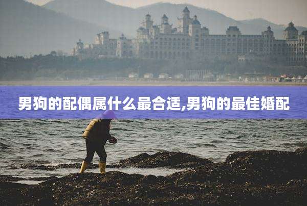 男狗的配偶属什么最合适,男狗的最佳婚配