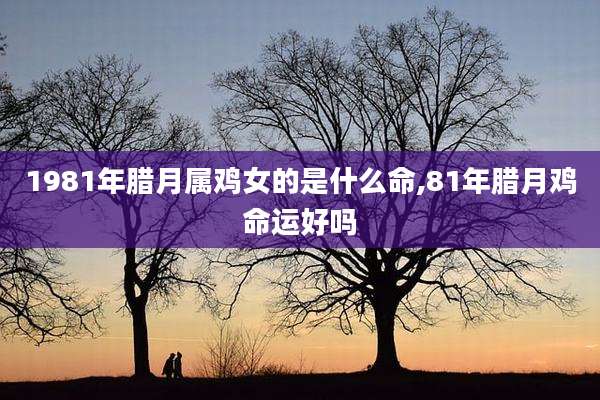 1981年腊月属鸡女的是什么命,81年腊月鸡命运好吗