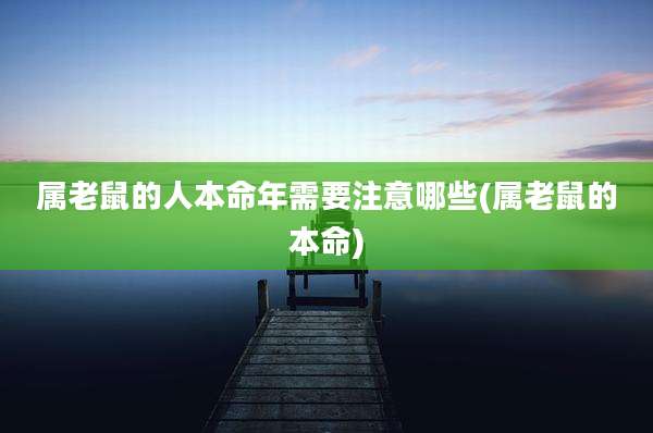 属老鼠的人本命年需要注意哪些(属老鼠的本命)