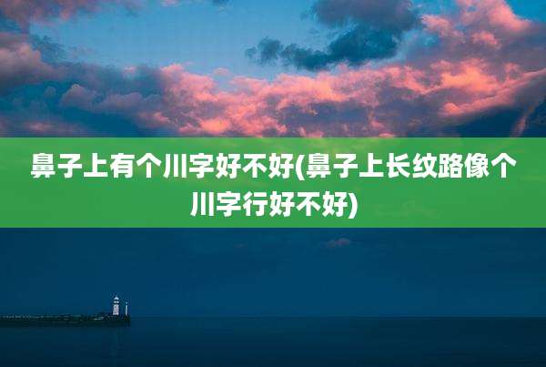 鼻子上有个川字好不好(鼻子上长纹路像个川字行好不好)