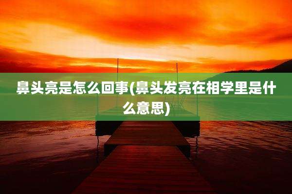 鼻头亮是怎么回事(鼻头发亮在相学里是什么意思)