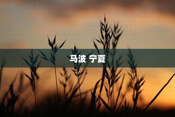 马波 宁夏