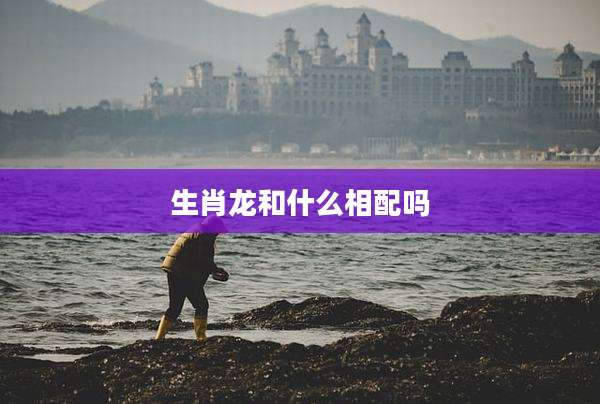 生肖龙和什么相配吗