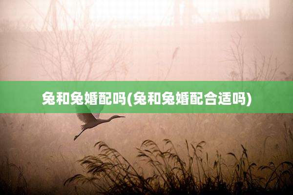 兔和兔婚配吗(兔和兔婚配合适吗)