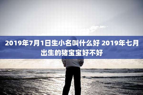 2019年7月1日生小名叫什么好 2019年七月出生的猪宝宝好不好