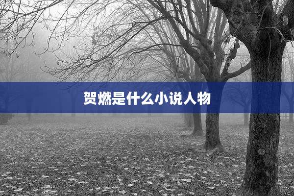 贺燃是什么小说人物