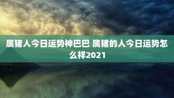 属猪人今日运势神巴巴 属猪的人今日运势怎么样2021
