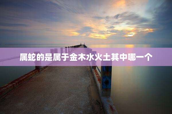 属蛇的是属于金木水火土其中哪一个