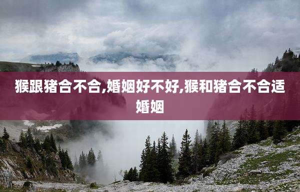 猴跟猪合不合,婚姻好不好,猴和猪合不合适婚姻