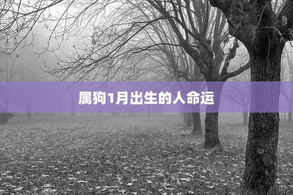 属狗1月出生的人命运