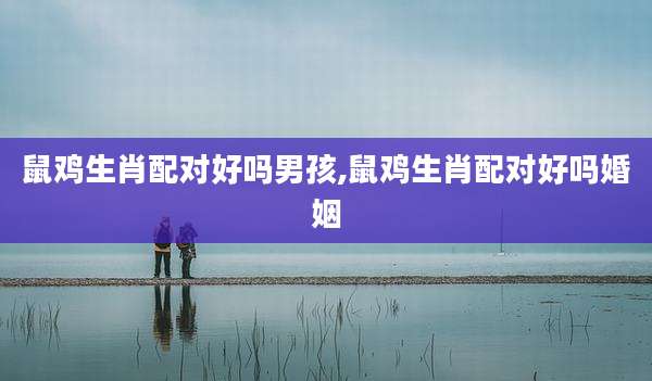 鼠鸡生肖配对好吗男孩,鼠鸡生肖配对好吗婚姻