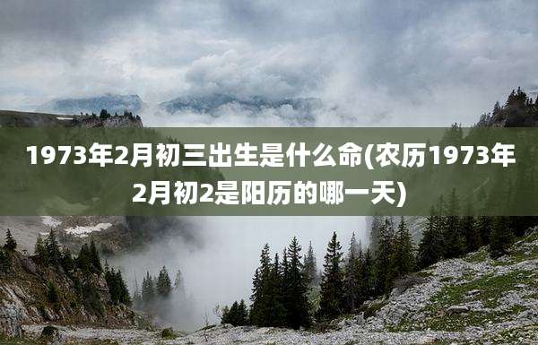 1973年2月初三出生是什么命(农历1973年2月初2是阳历的哪一天)