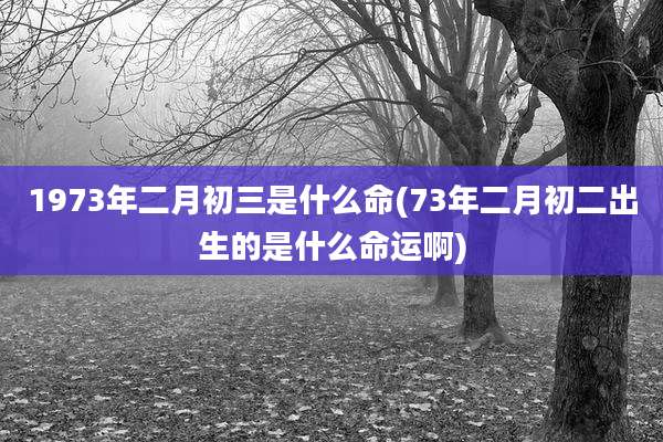 1973年二月初三是什么命(73年二月初二出生的是什么命运啊)