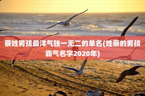 蔡姓男孩最洋气独一无二的单名(姓蔡的男孩霸气名字2020年)