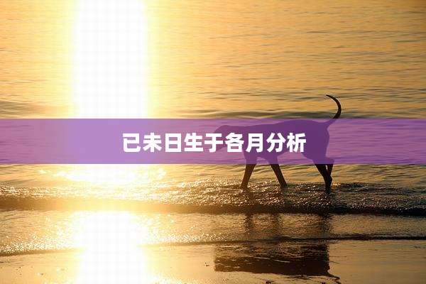 已未日生于各月分析